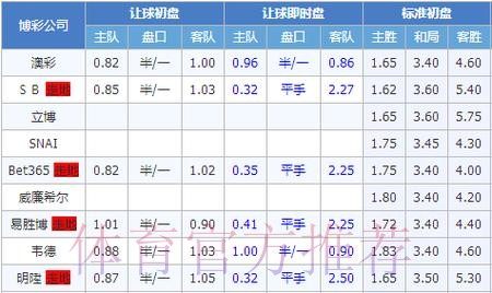 世界杯盘口分析